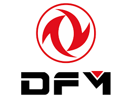 DFM
