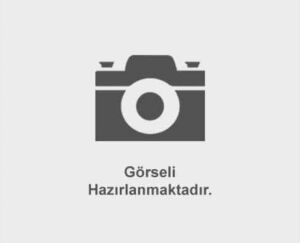 VİRAJ LASTİĞİ CLIO III 05= / MICRA III 05= K12 ÖN ORTA 20,5mm NISSAN, RENAULT CLIO, MICRA OEM: 7701062549