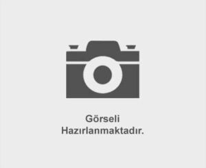 FREN DİSKİ MEGANE III 08-15 / MEGANE IV 15= / SCENIC III 09= ARKA DÜZ ABSLİ PORYALI RULMANLI 260-5 RENAULT MEGANE OEM: 432000185R